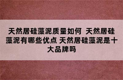 天然居硅藻泥质量如何  天然居硅藻泥有哪些优点 天然居硅藻泥是十大品牌吗